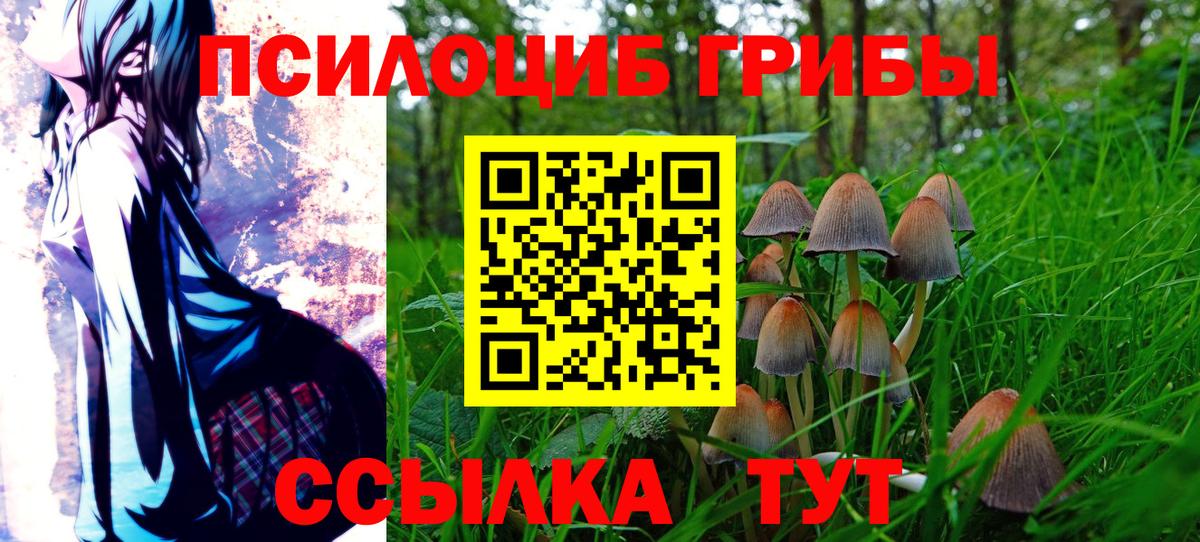 Барабинск  Галлюциногенные грибы GOLDEN TEACHER  Вход с VPN 